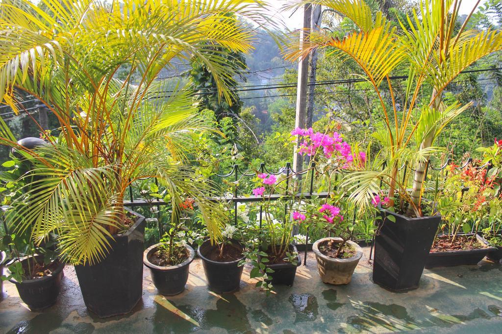 Yes Paradise Kandy Esterno foto